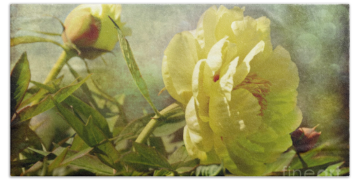 Flower Beach Sheet featuring the photograph Whispers in the Wind by Elaine Manley