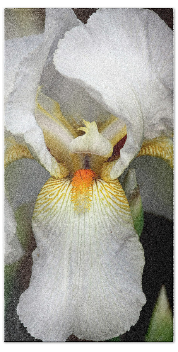 Nature Beach Sheet featuring the photograph White Bearded Iris 2 by Sheila Brown