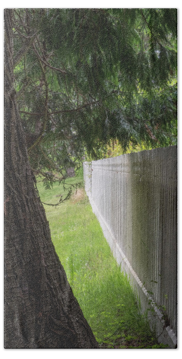 Oregon Coast Beach Towel featuring the photograph White Fence And Tree by Tom Singleton