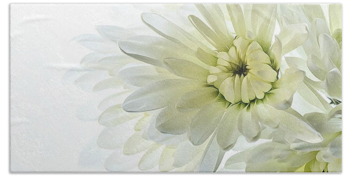  Flower Beach Towel featuring the photograph White Floral by Kelly Merlini