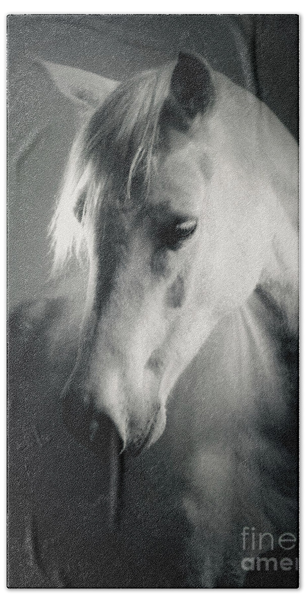 Horse Beach Towel featuring the photograph White Horse Head Art Portrait by Dimitar Hristov