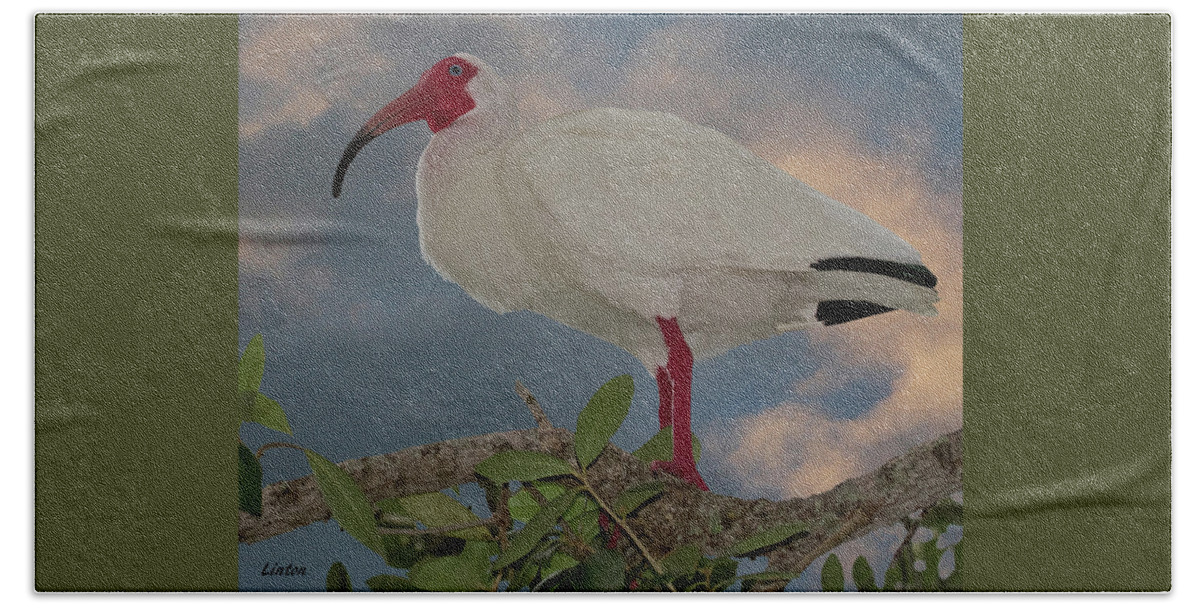White Ibis Beach Towel featuring the photograph White Ibis by Larry Linton