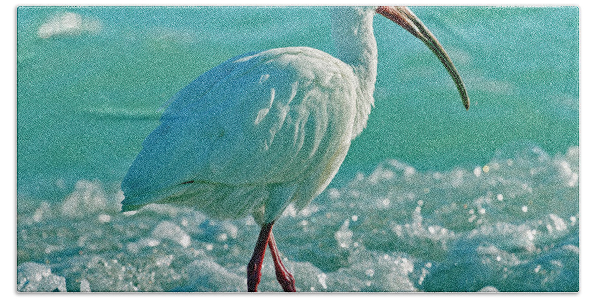 Ibis Beach Towel featuring the photograph White Ibis Paradise by Betsy Knapp