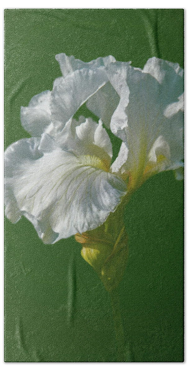 Yellow Beach Sheet featuring the photograph White iris on green #g0 by Leif Sohlman