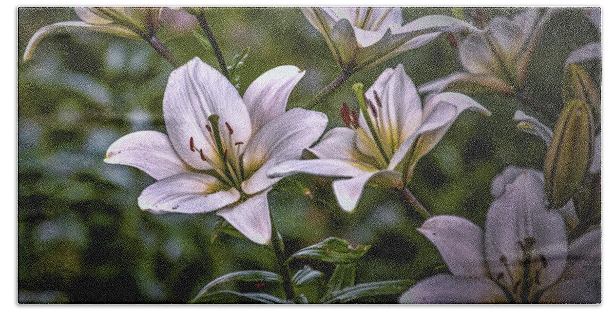 Lily Beach Sheet featuring the photograph White lilies #g5 by Leif Sohlman