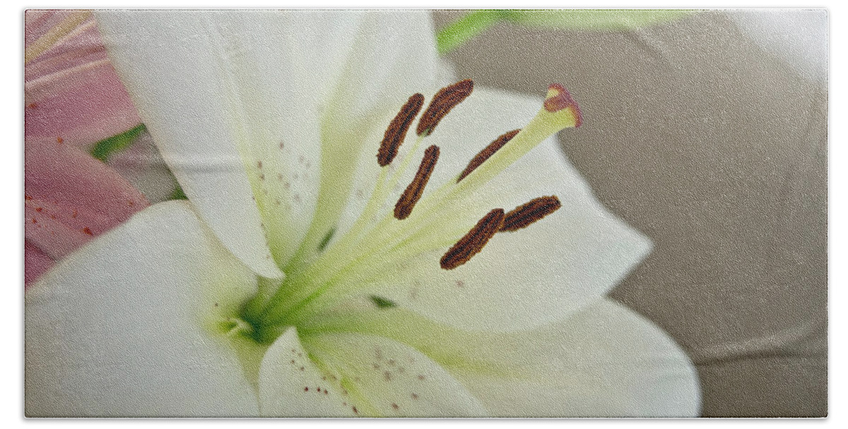 Humility Beach Towel featuring the photograph White Lily 5 by Elena Perelman