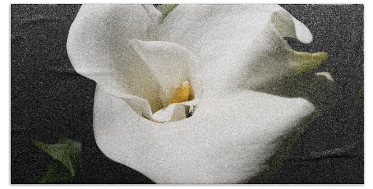Granger Photography Beach Towel featuring the photograph White Lily by Brad Granger