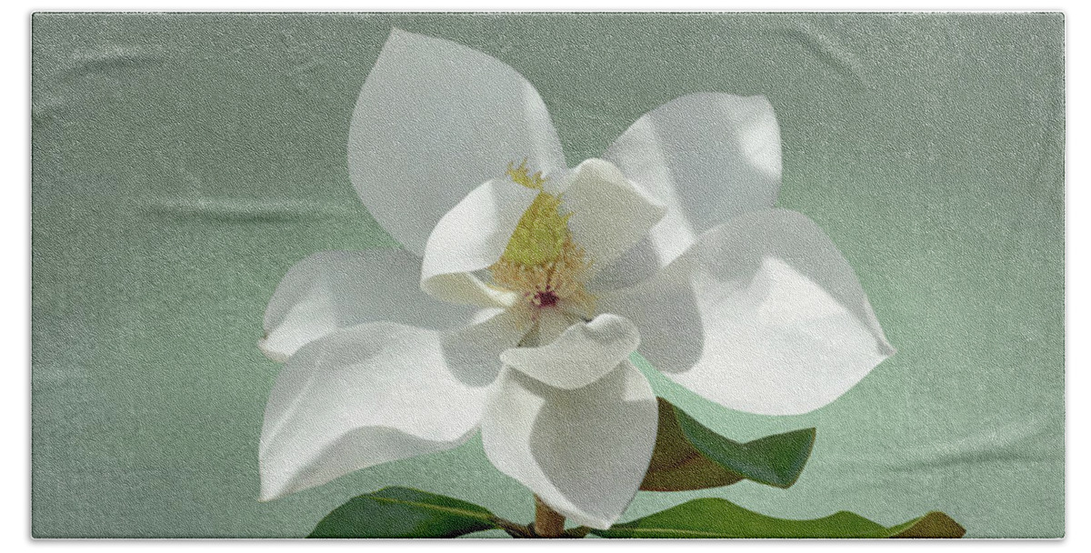 Flower Beach Towel featuring the digital art White Magnolia by M Spadecaller