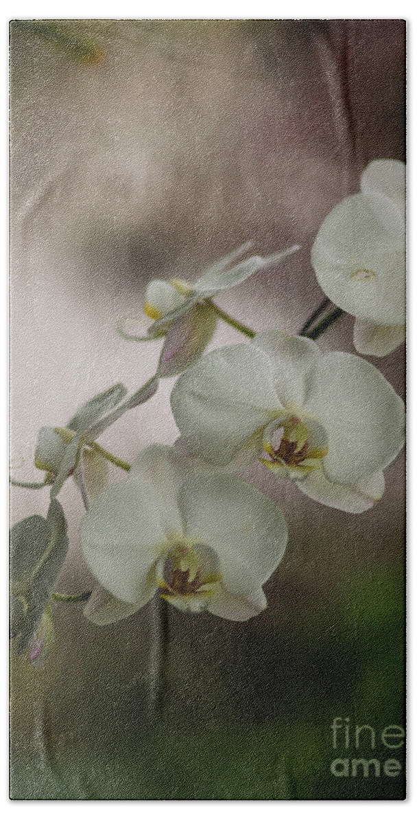 Orchid Beach Towel featuring the photograph White of the Evening by Mike Reid
