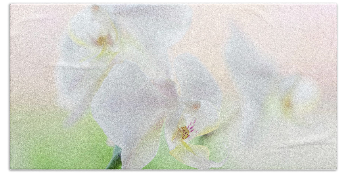 Jenny Rainbow Fine Art Photography Beach Towel featuring the photograph White Orchid Macro 21. Series Elegance by Jenny Rainbow