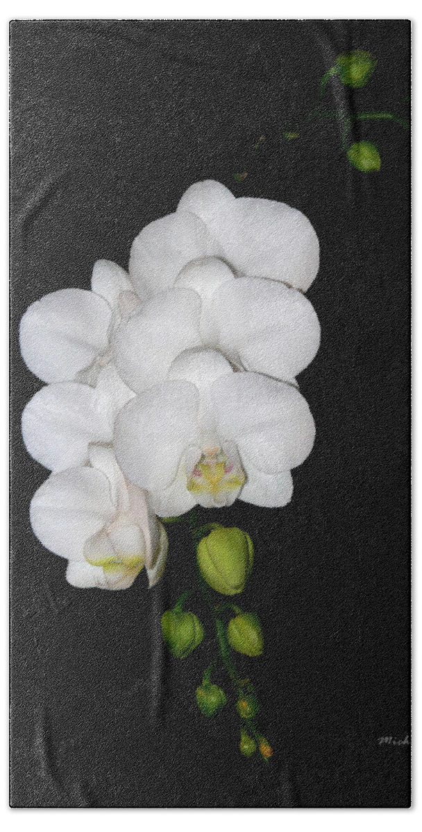 White Beach Towel featuring the photograph White Orchids on Black by Michele A Loftus