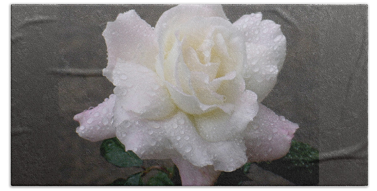 White Beach Sheet featuring the photograph White Rose in Rain - 3 by Shirley Heyn