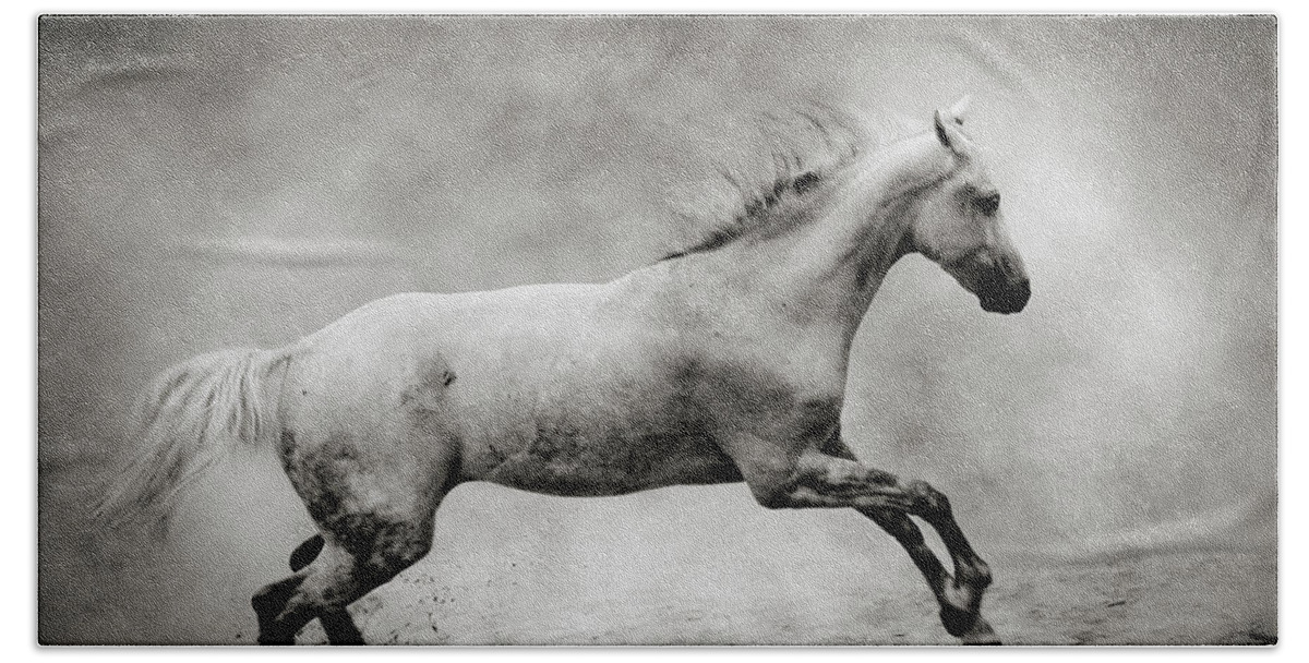 Horse Beach Towel featuring the photograph White Stallion by Dimitar Hristov