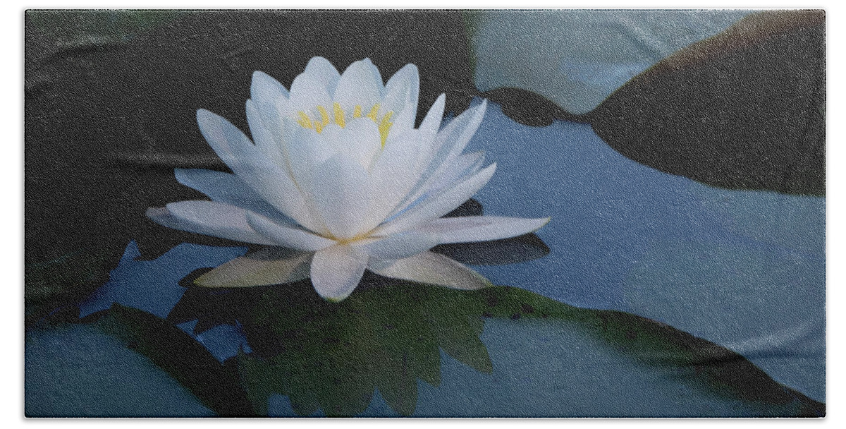 Water Beach Towel featuring the photograph White Water Lily by Jack Nevitt