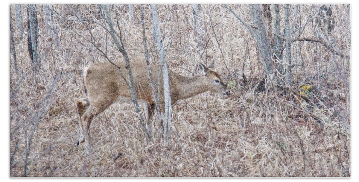 Deer Beach Sheet featuring the photograph Whitetail Deer 1171 by Michael Peychich