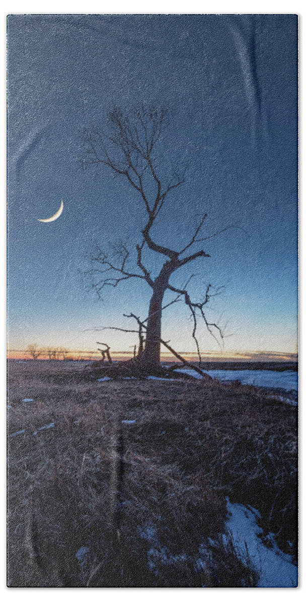 Moon Beach Towel featuring the photograph Wicked Tree by Aaron J Groen