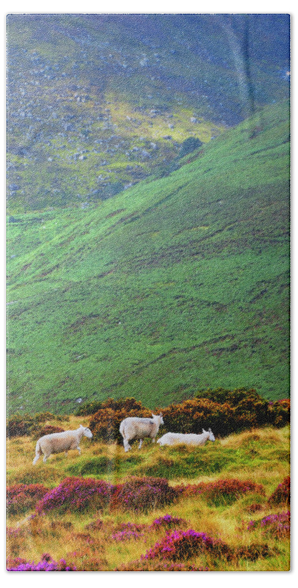 Jenny Rainbow Fine Art Photography Beach Towel featuring the photograph Wicklow Pastoral by Jenny Rainbow
