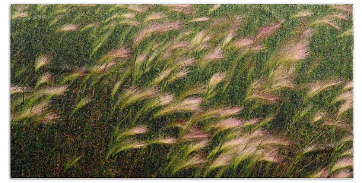 Grass Beach Towel featuring the photograph Wild Grasses by Kathryn Meyer