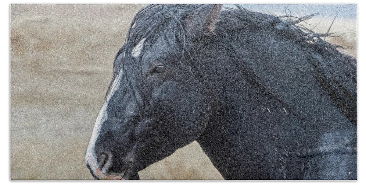 Horse Beach Sheet featuring the photograph Wild Horse Profile by Scott Read