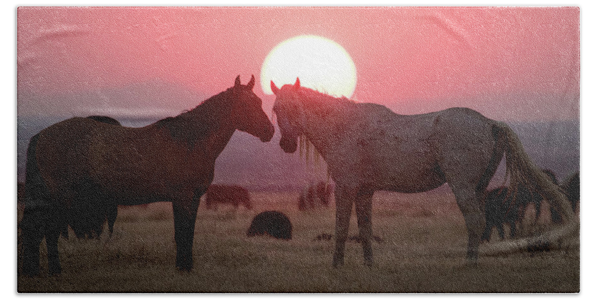 Wild Horse Beach Towel featuring the photograph Wild Horse Sunset by Wesley Aston