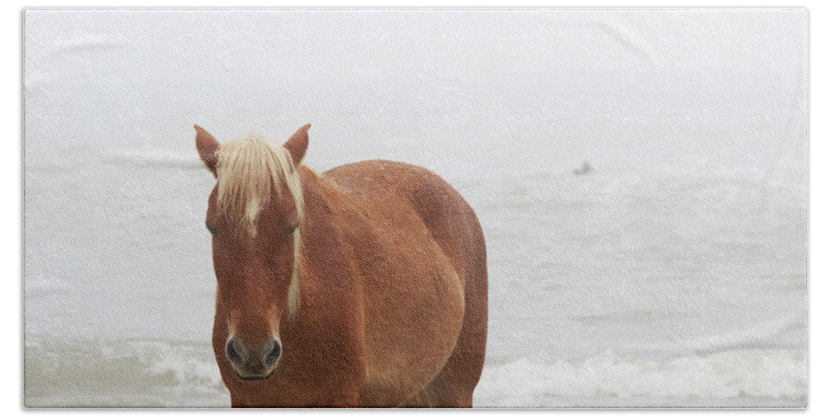Wild Horses Beach Towel featuring the photograph Wild Horses At Corolla, NC 23 by David Stasiak
