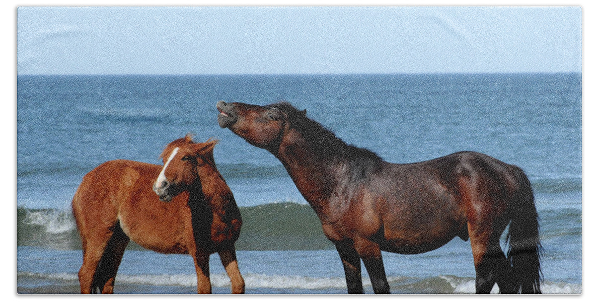 Wild Beach Towel featuring the photograph Wild Horses on Beach by Ted Keller