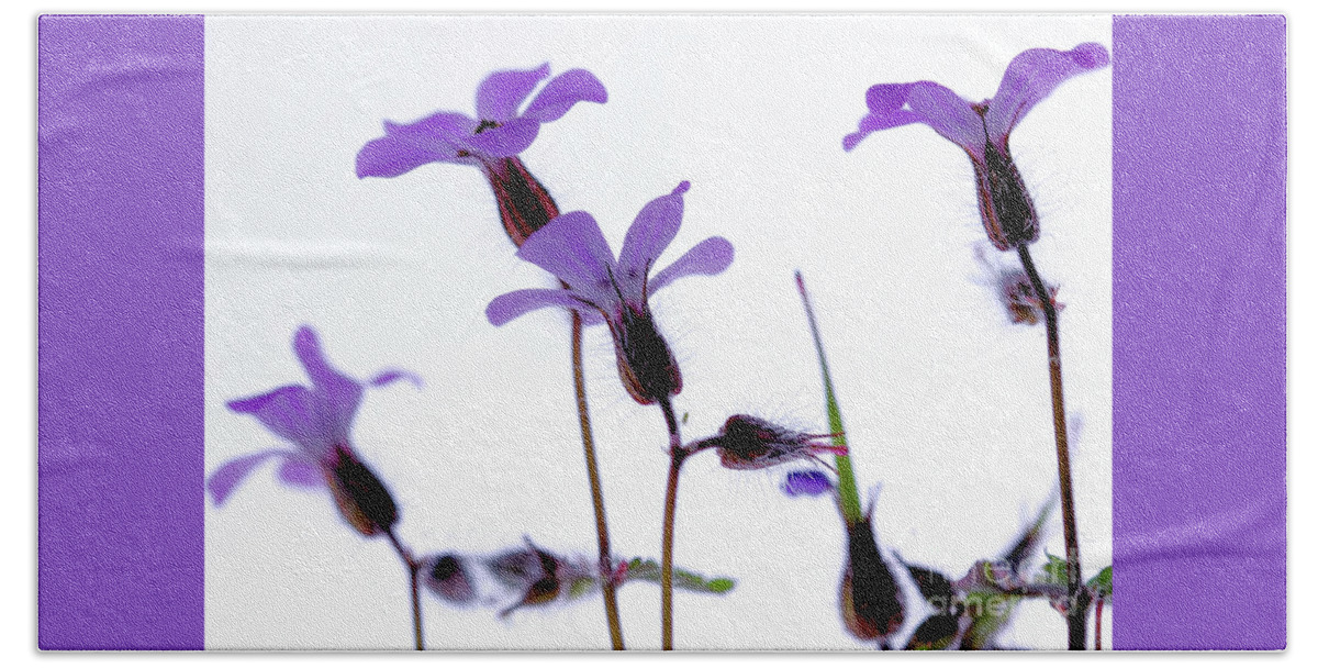Macro Beach Sheet featuring the photograph Wild Knotted Cranesbill by Stephen Melia