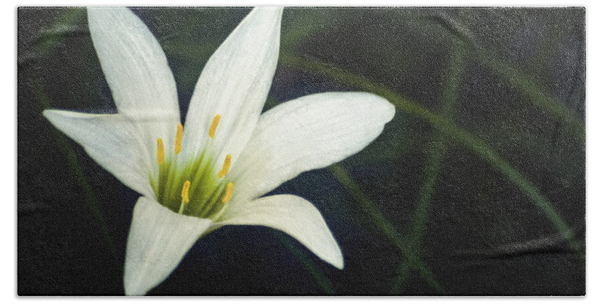Lily Beach Towel featuring the photograph Wild Lily by Carolyn Marshall