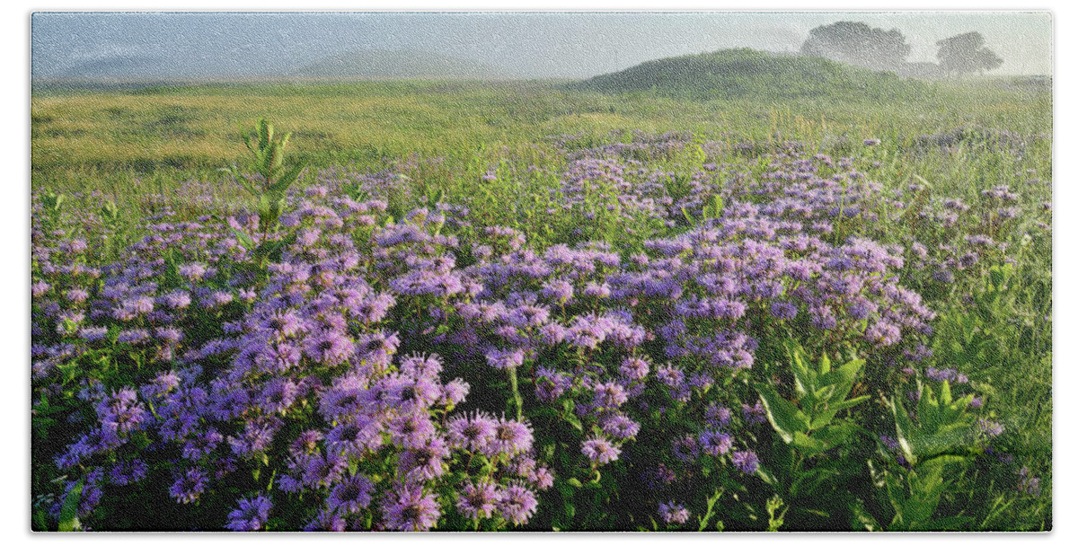 Black Eyed Susan Beach Sheet featuring the photograph Wild Mints Galore in Glacial Park by Ray Mathis