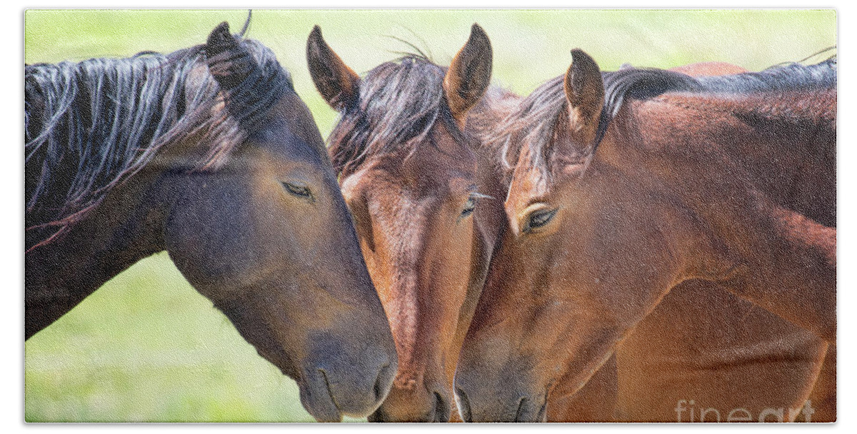 Eastern Sierra Beach Towel featuring the photograph Wild Mustang Family by Mimi Ditchie