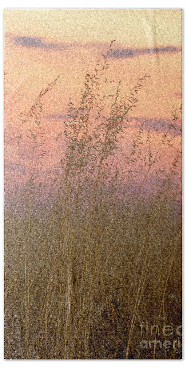 Grass Beach Sheet featuring the photograph Wild Oats by Linda Lees