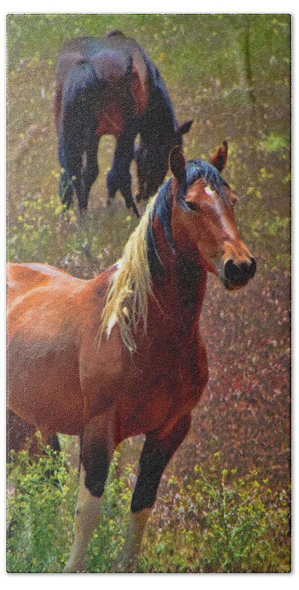 Horses Beach Towel featuring the photograph Wild Paint Stallion by Waterdancer