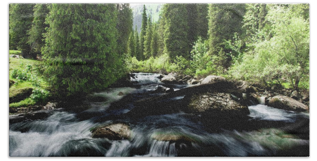 Forest Beach Towel featuring the photograph Wild river in Tian Shan by Robert Grac