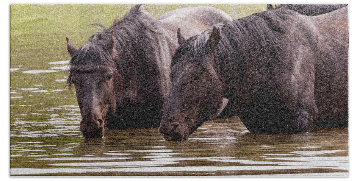 Mark Miller Photos Beach Towel featuring the photograph Wild Stallions at the Water Hole by Mark Miller
