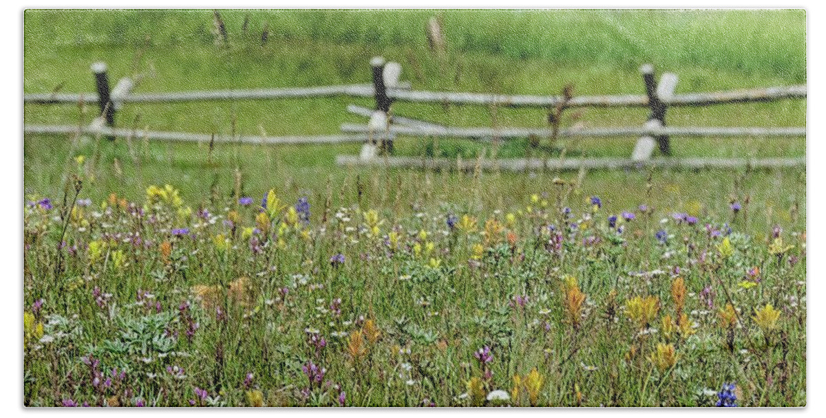 Meadow Beach Towel featuring the photograph Wildflower fence by Gaelyn Olmsted