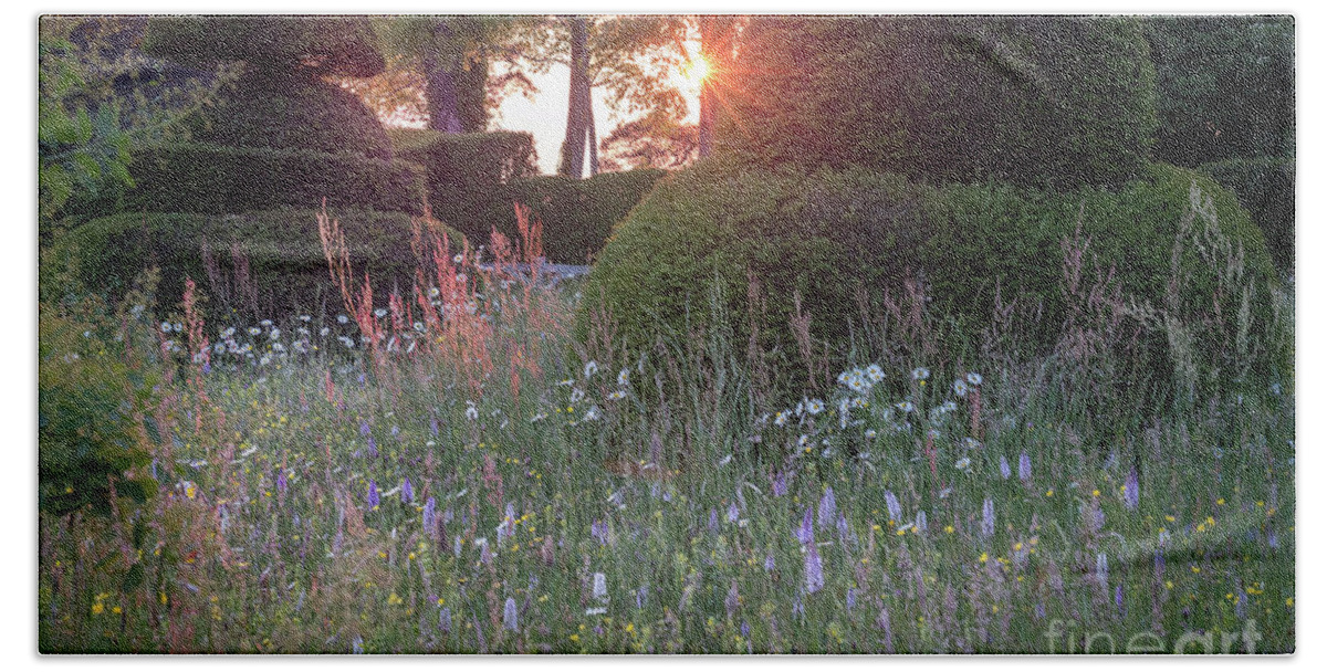 Sunset Beach Towel featuring the photograph Wildflower Meadow at Sunset, Great Dixter by Perry Rodriguez
