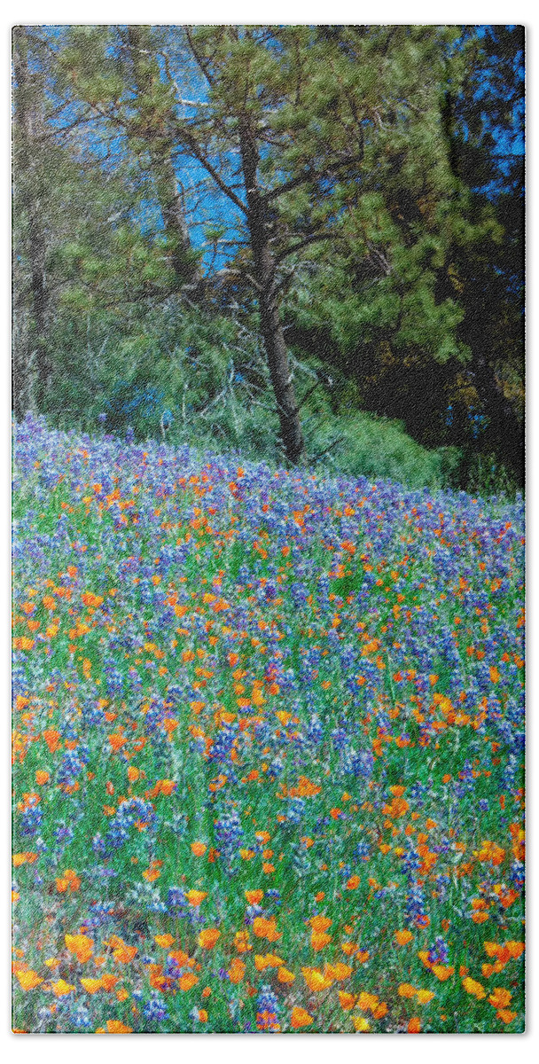Wildflower Beach Towel featuring the photograph Wildflower Meadow - Figueroa Mountains California by Ram Vasudev