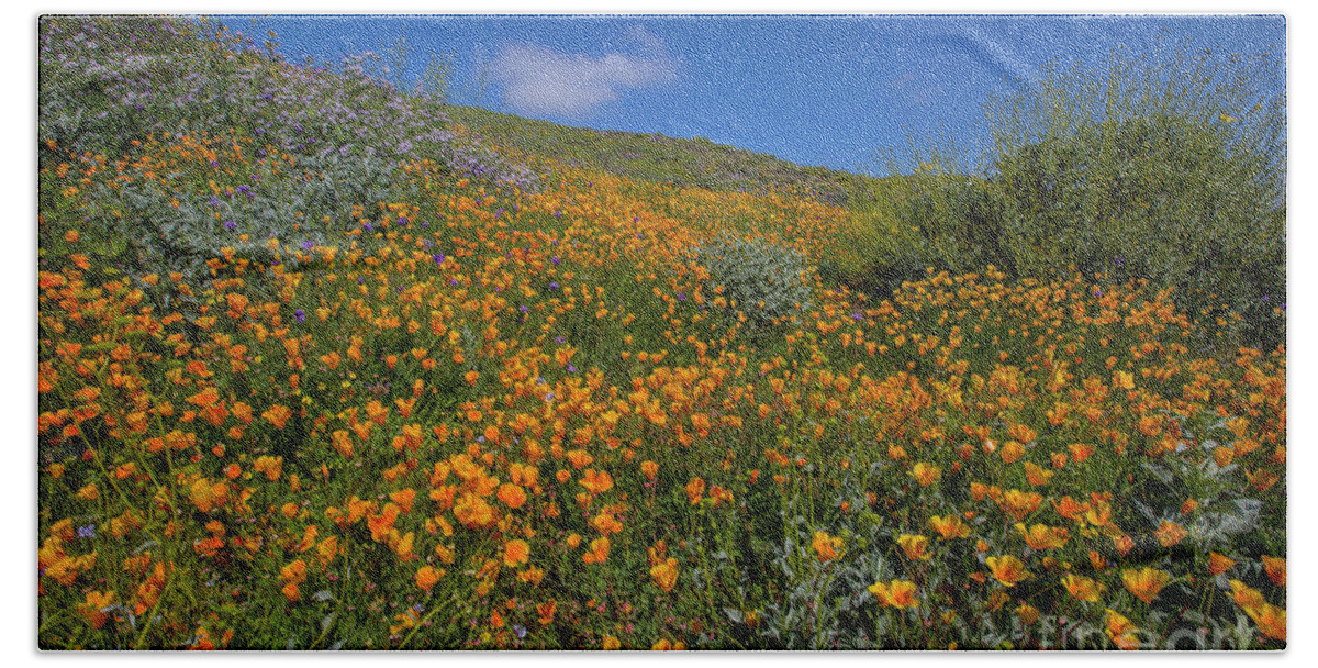 Photography Beach Towel featuring the photograph Wildflower Superbloom 11 by Daniel Knighton