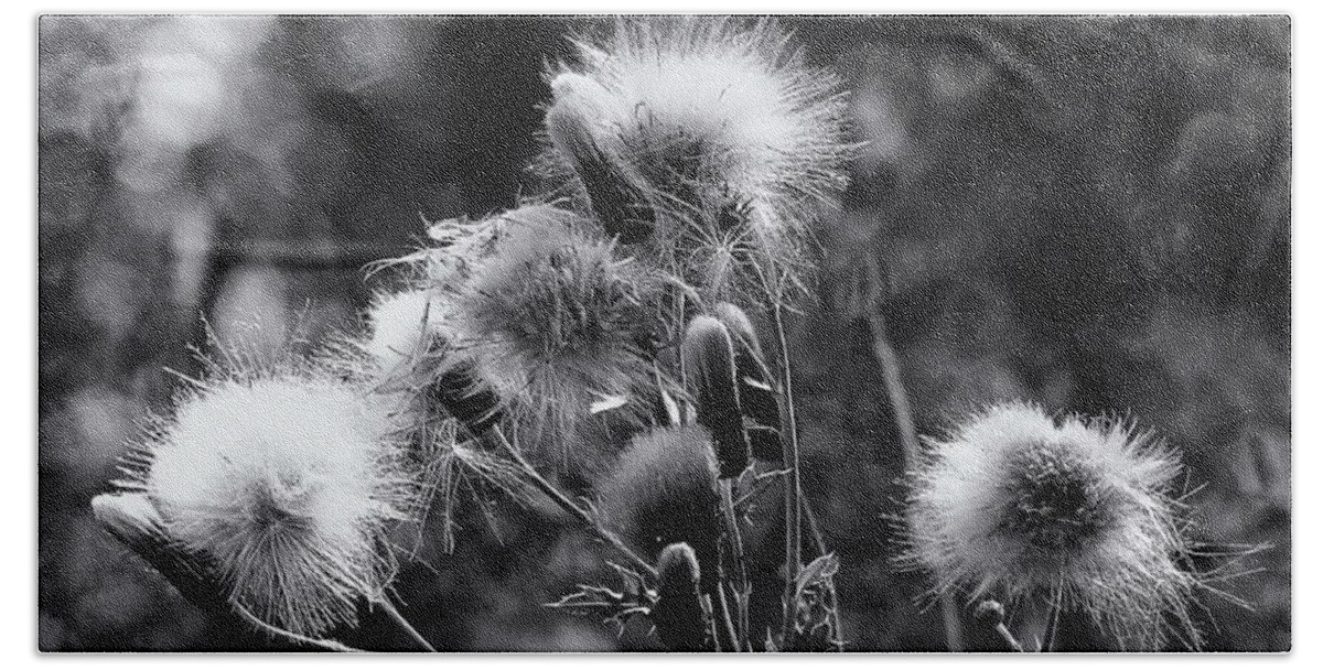 Wildflowers Beach Towel featuring the photograph Wildflowers and Seedheads Monochrome by Jeff Townsend