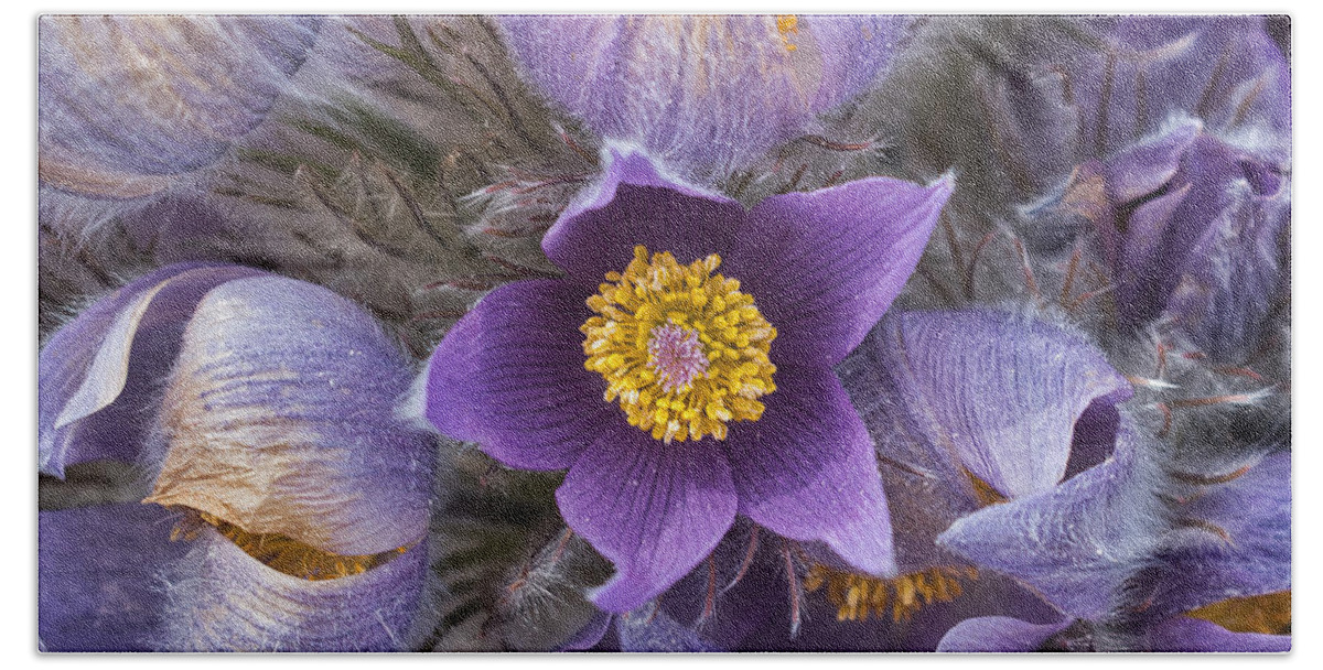 Pasqueflower Beach Sheet featuring the photograph Wildflowers at the Delta Junction Bison Range by Cathy Mahnke