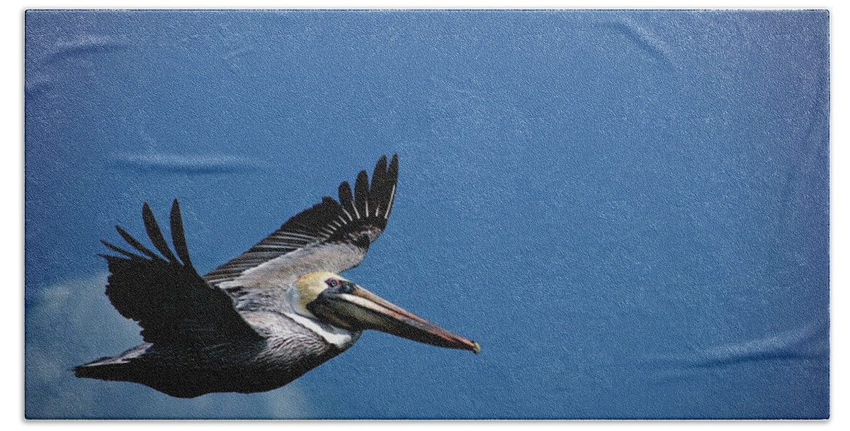 Birds Beach Towel featuring the photograph Wildlife in Mexico by Robert Grac
