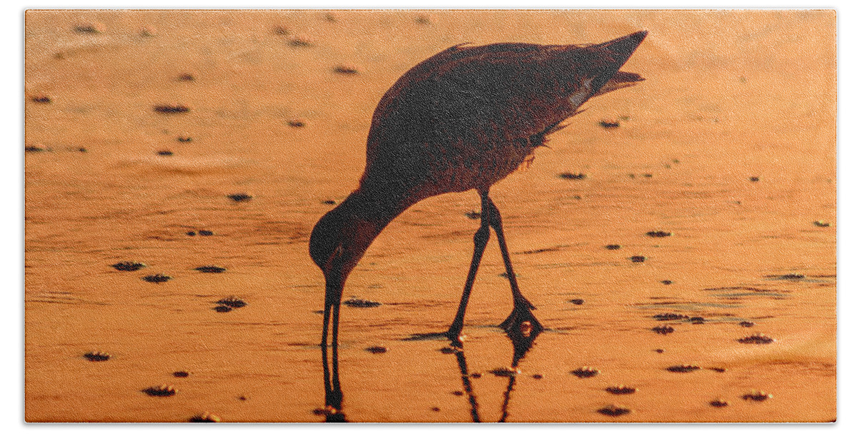 Willet Beach Towel featuring the photograph Willet On Sunrise Surf by Steven Sparks