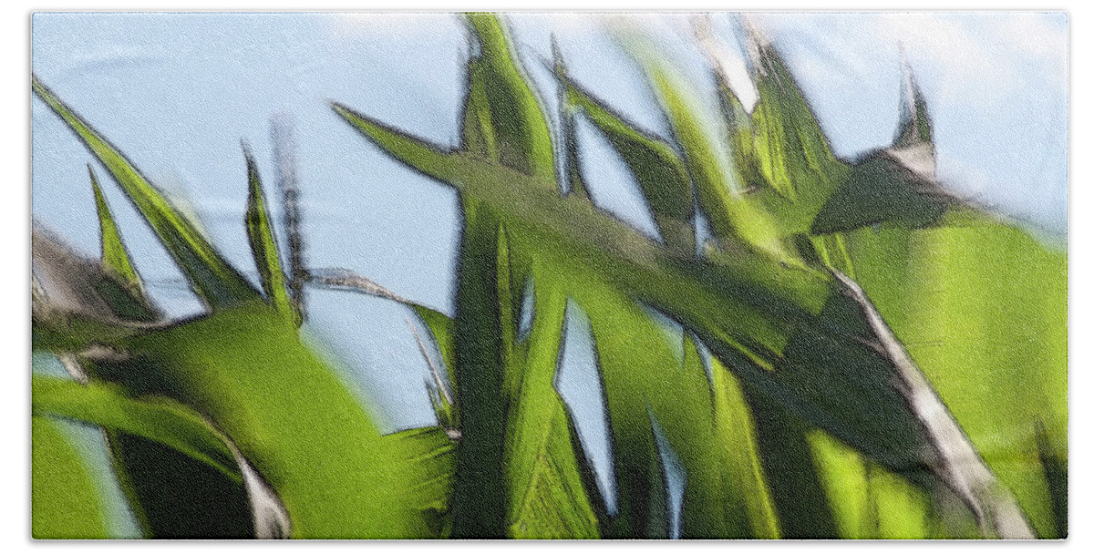 Corn Leaves Beach Sheet featuring the photograph Wind in Corn Leaves 2 - by Julie Weber