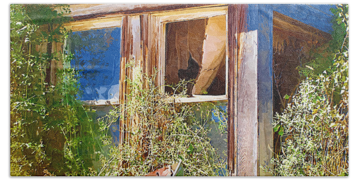 Window Beach Sheet featuring the photograph Window 2 by Susan Kinney