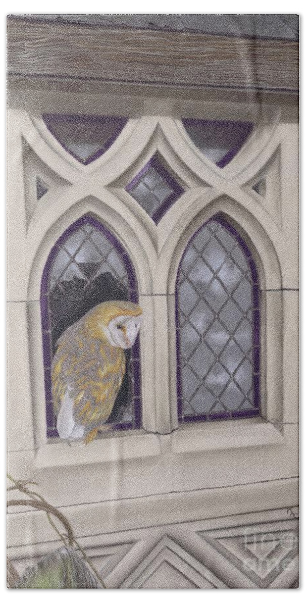 Owl Beach Towel featuring the painting Window Shopping by Karie-ann Cooper