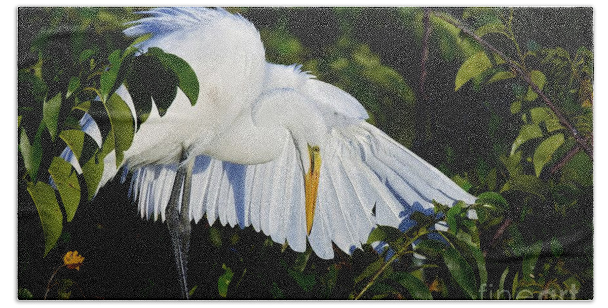 Great White Egret Beach Towel featuring the photograph Wing Out by Julie Adair