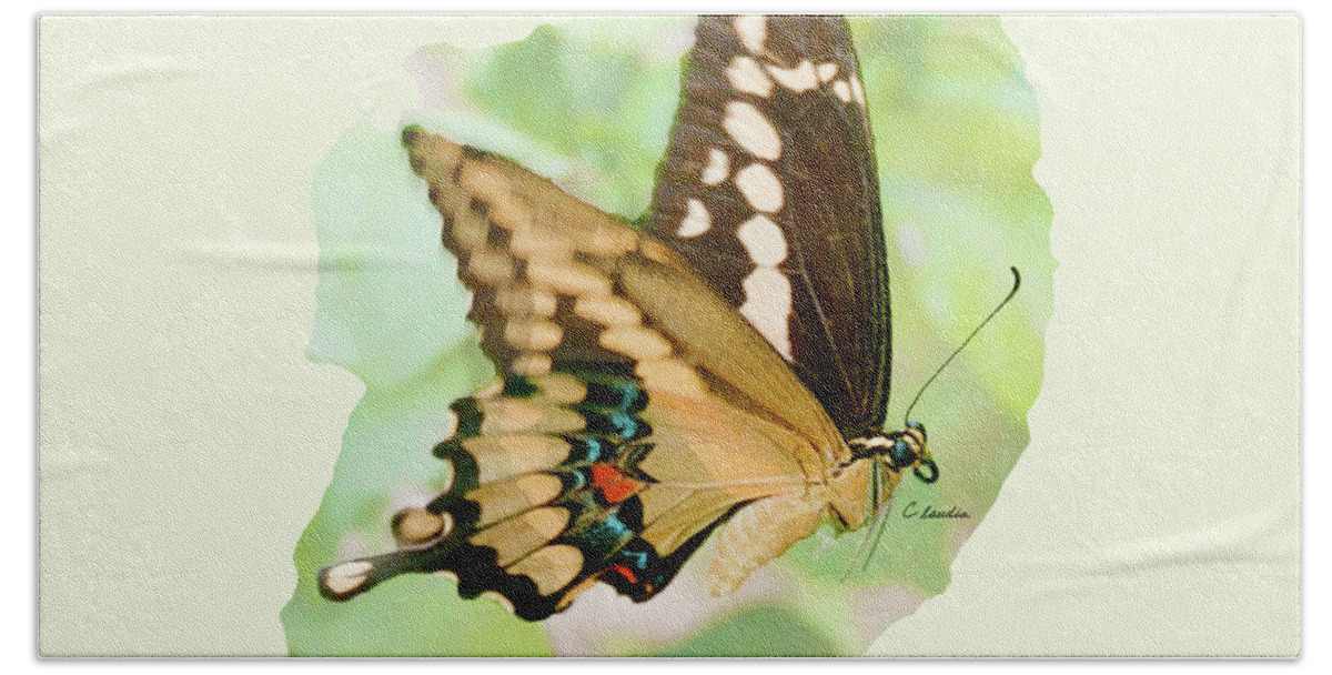 Freedom Beach Towel featuring the photograph Wings of Freedom by Claudia Ellis by Claudia Ellis