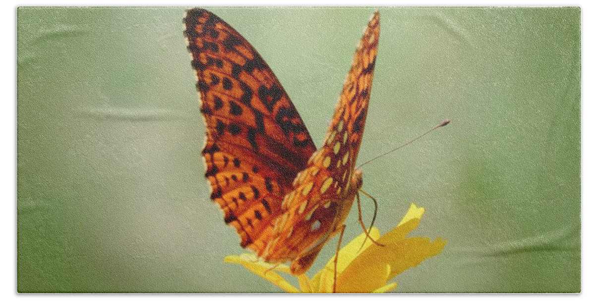 Fritillary Butterfly Beach Towel featuring the photograph Wings Up - Butterfly by MTBobbins Photography