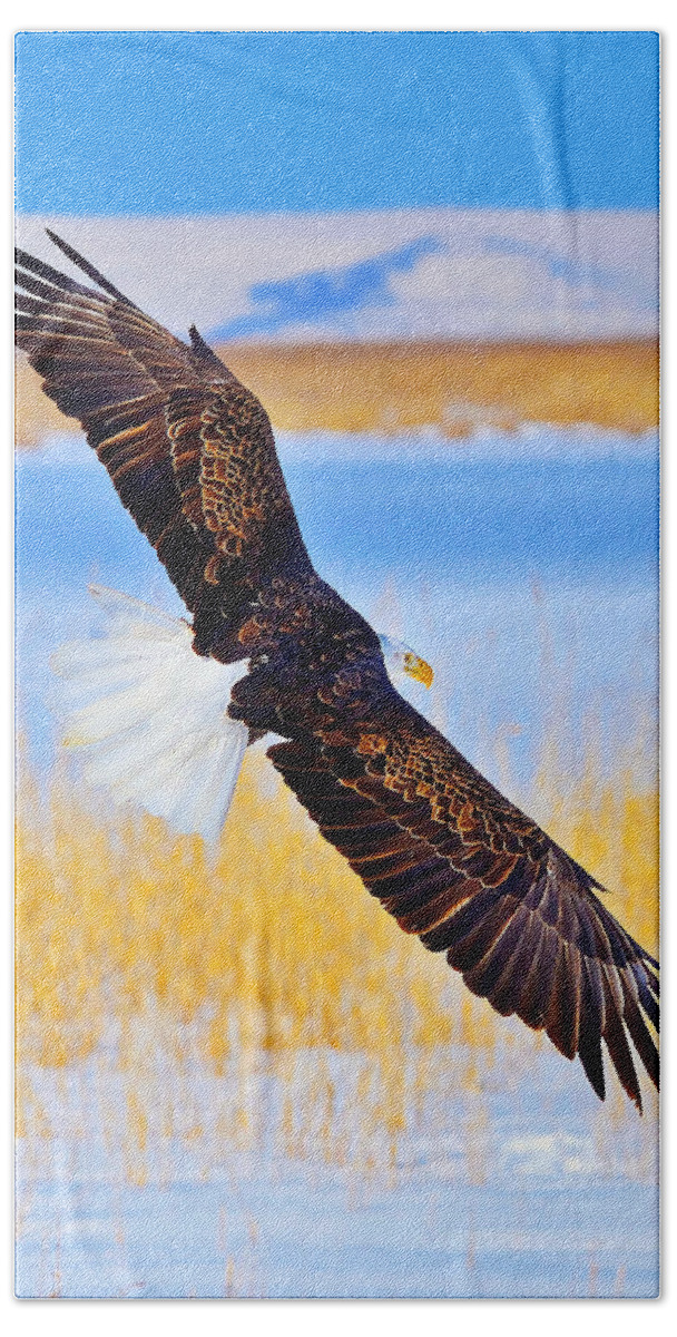 Bald Eagle Beach Towel featuring the photograph Wingspan by Greg Norrell