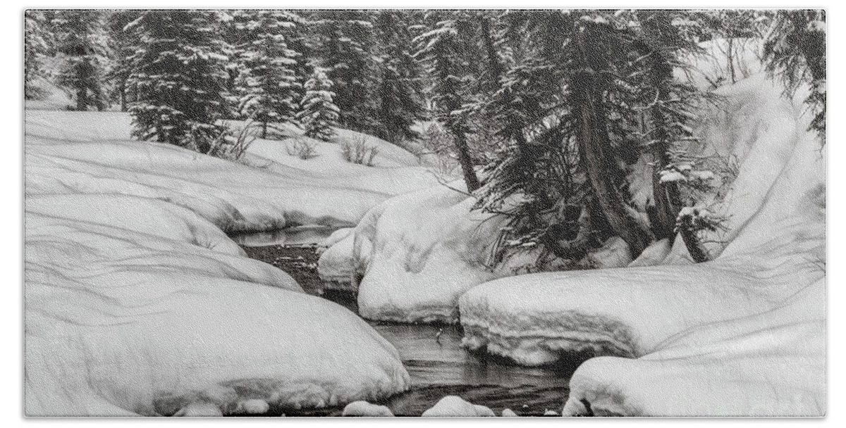 Alberta Beach Towel featuring the photograph Winter Alpine Creek by Brad Allen Fine Art